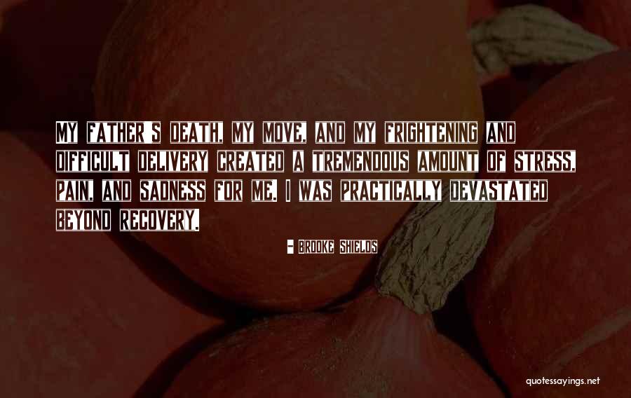 My Father's Death Quotes By Brooke Shields My Father's Death Quotes By Brooke Shields