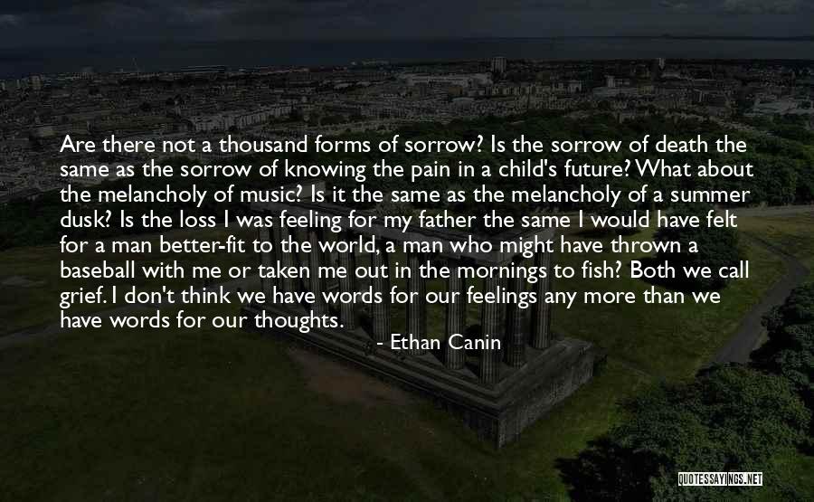 My Father's Death Quotes By Ethan Canin My Father's Death Quotes By Ethan Canin