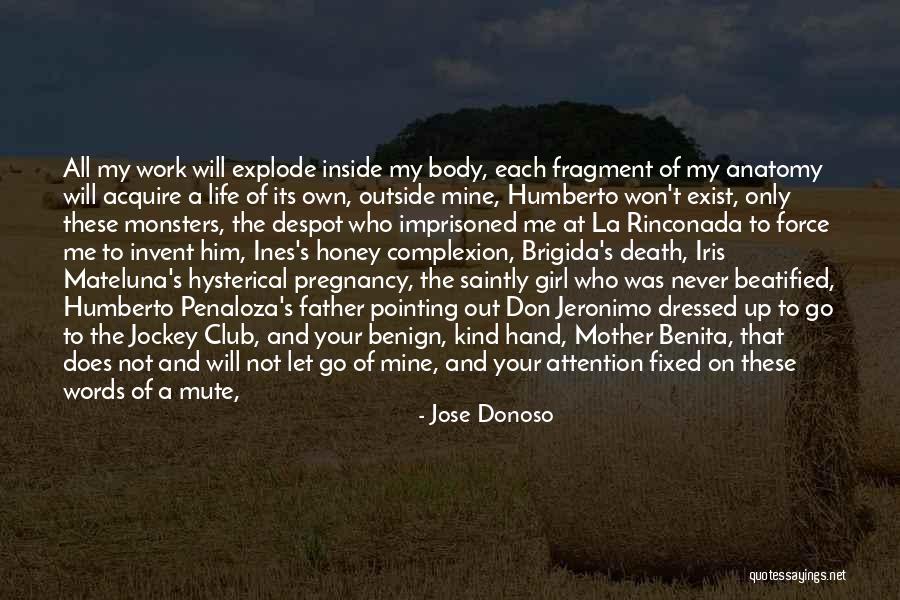 My Father's Death Quotes By Jose Donoso My Father's Death Quotes By Jose Donoso
