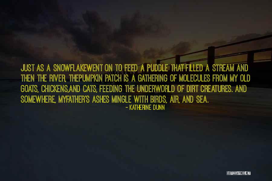 My Father's Death Quotes By Katherine Dunn My Father's Death Quotes By Katherine Dunn