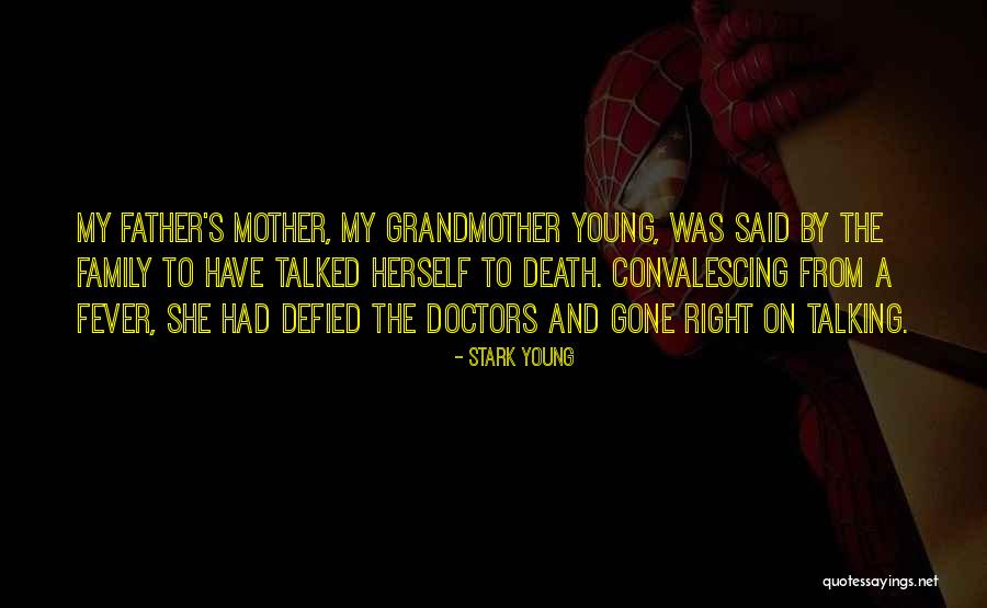 My Father's Death Quotes By Stark Young My Father's Death Quotes By Stark Young
