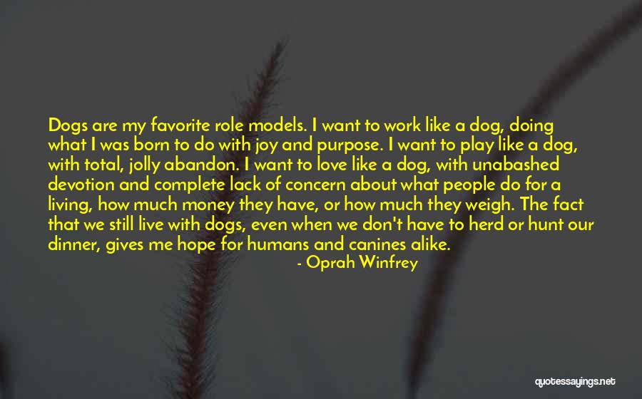 My Favorite Dog Quotes By Oprah Winfrey