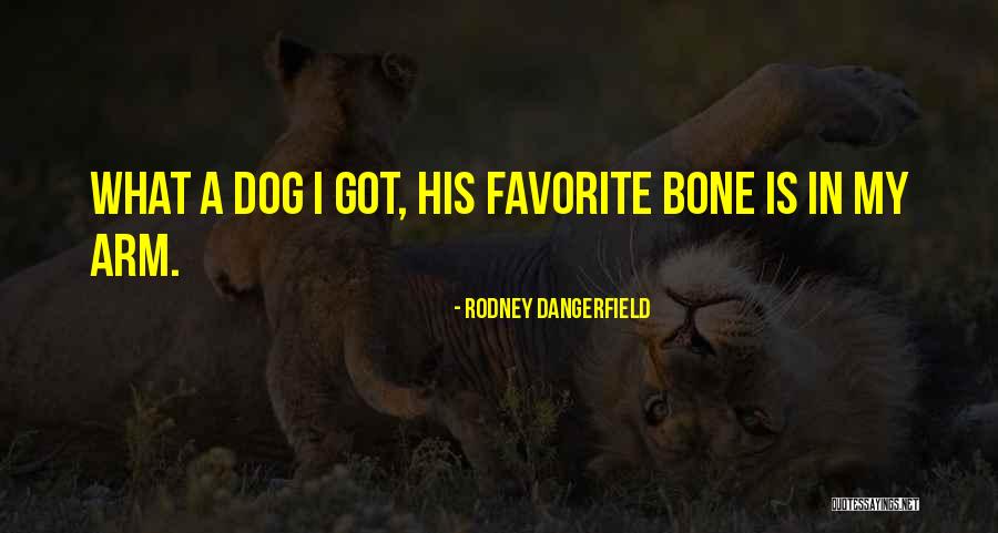 My Favorite Dog Quotes By Rodney Dangerfield