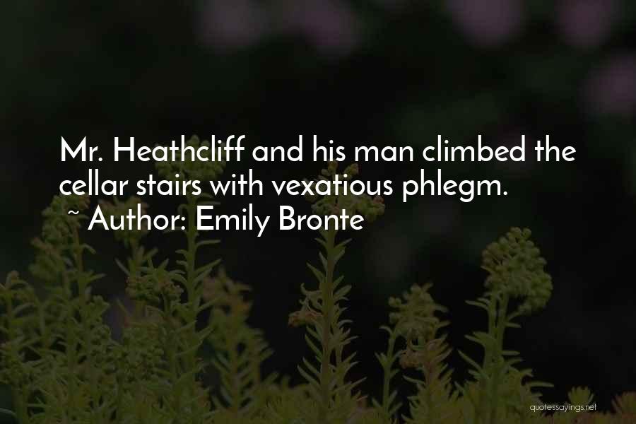 My Favorite Inspirational Quotes By Emily Bronte