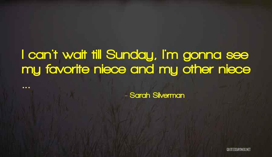 My Favorite Niece Quotes By Sarah Silverman