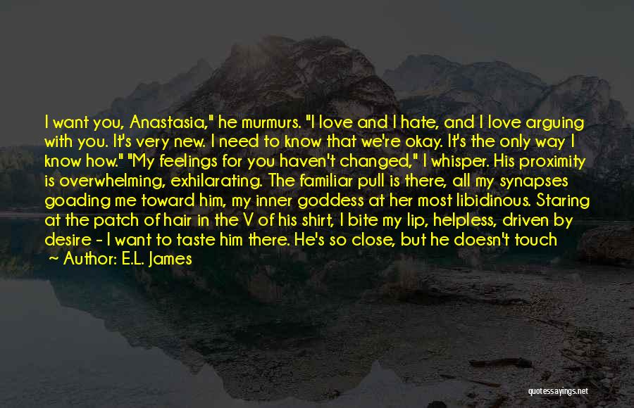 My Feelings For Him Quotes By E.L. James