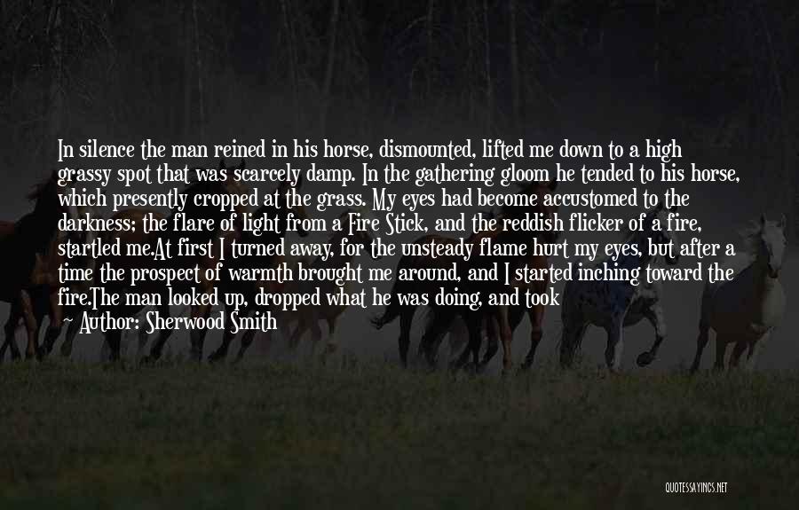 My First Horse Quotes By Sherwood Smith