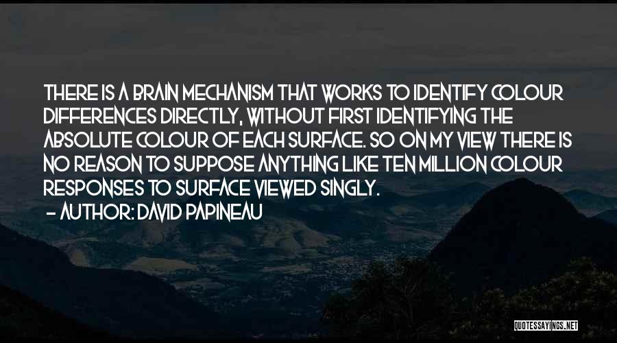 My First Million Quotes By David Papineau