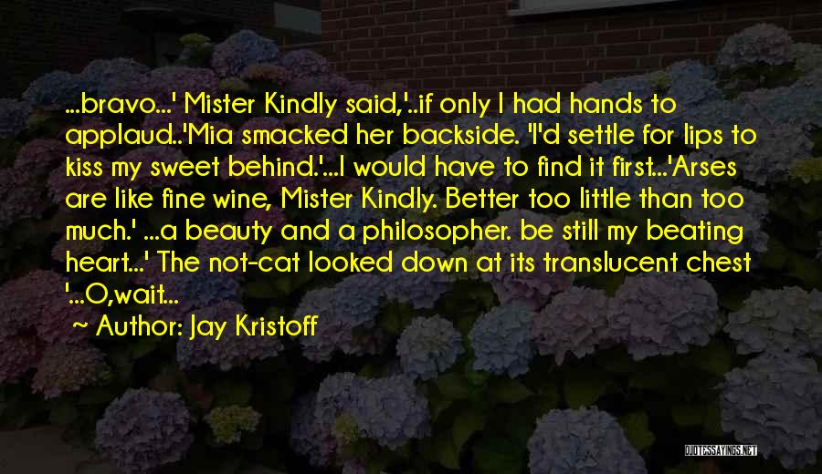 My First Mister Quotes By Jay Kristoff