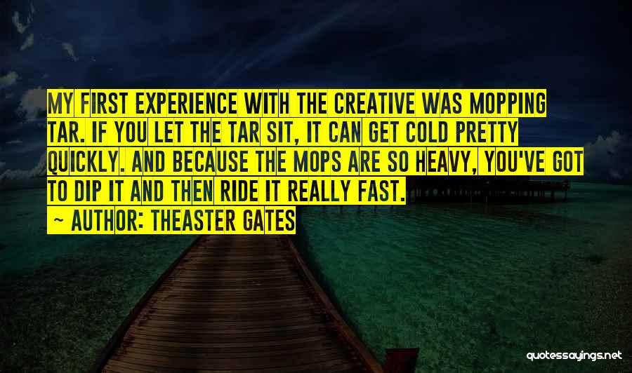 My First Ride Quotes By Theaster Gates