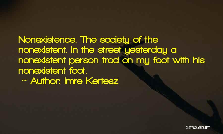 My Foot Quotes By Imre Kertesz