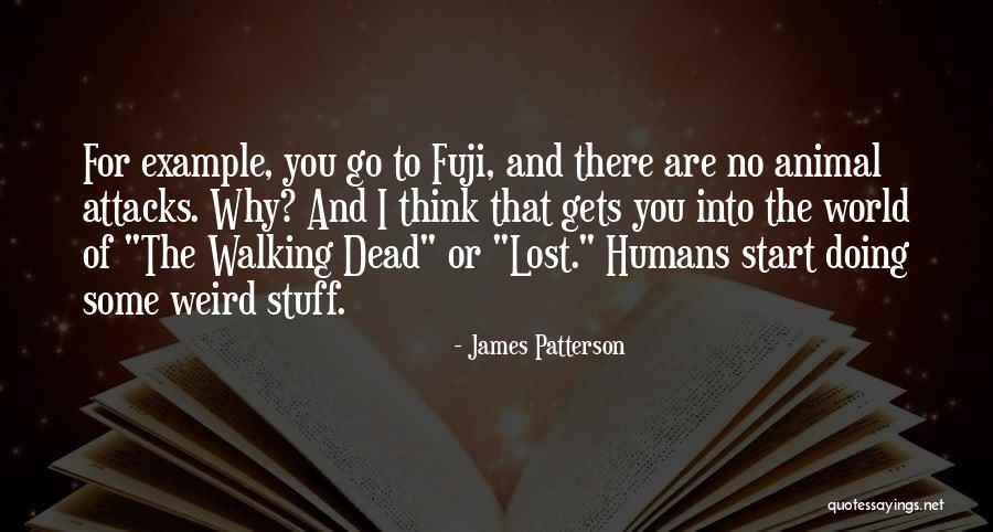 My Fuji Quotes By James Patterson My Fuji Quotes By James Patterson