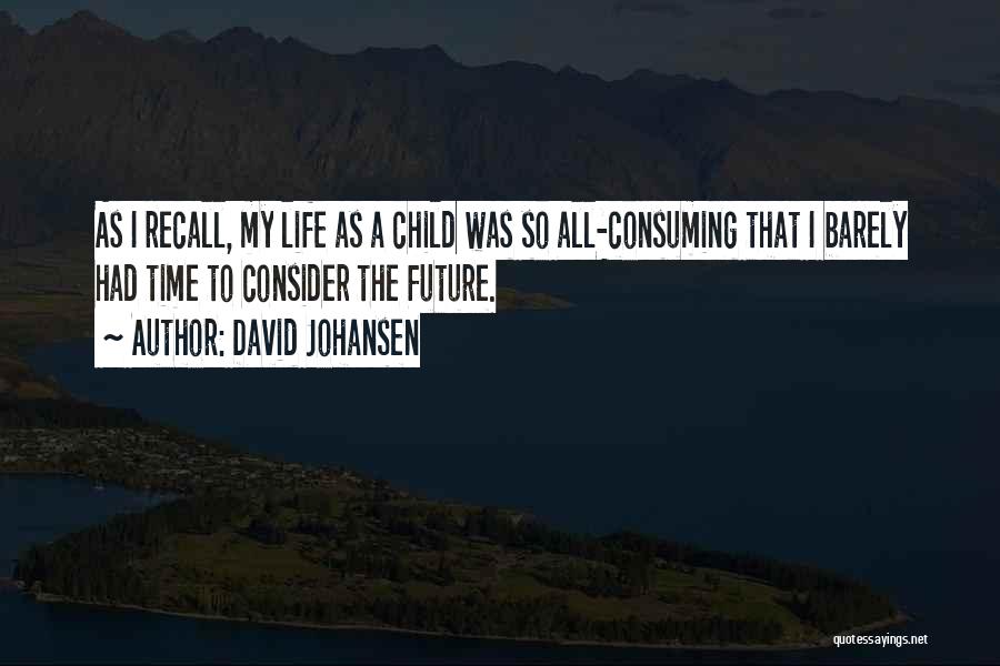 My Future Life Quotes By David Johansen