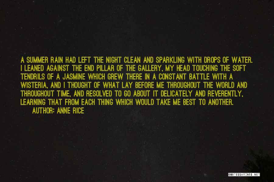 My Gallery Quotes By Anne Rice