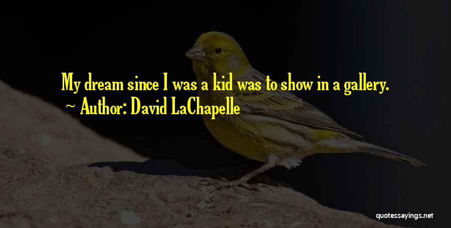 My Gallery Quotes By David LaChapelle