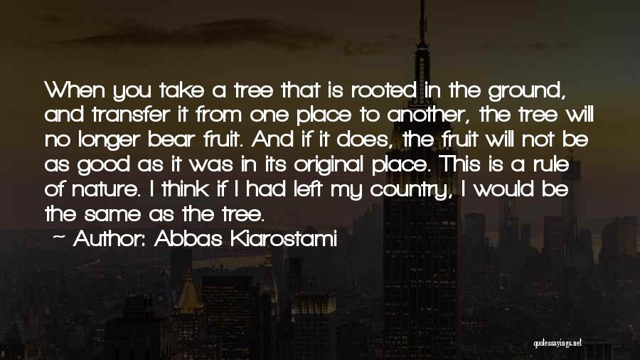 My Good Nature Quotes By Abbas Kiarostami