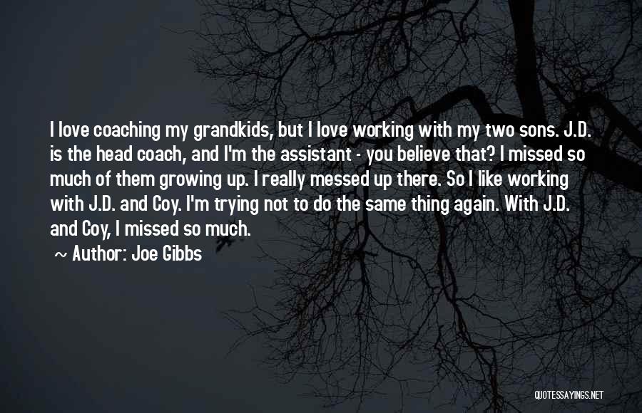 My Grandkids Quotes By Joe Gibbs