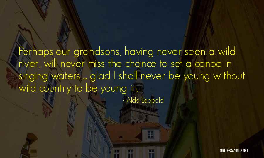 My Grandsons Quotes By Aldo Leopold My Grandsons Quotes By Aldo Leopold