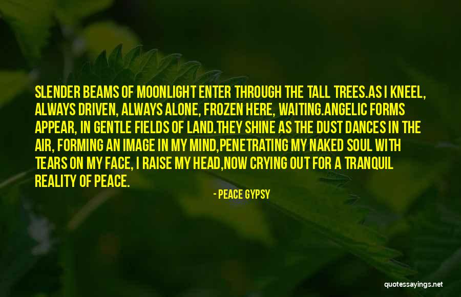 My Gypsy Soul Quotes By Peace Gypsy