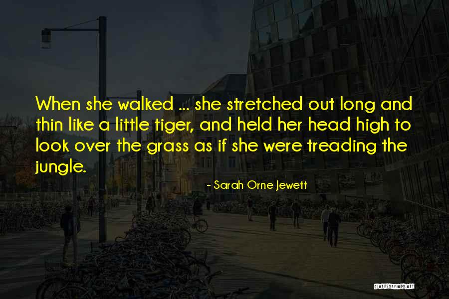 My Head Held High Quotes By Sarah Orne Jewett