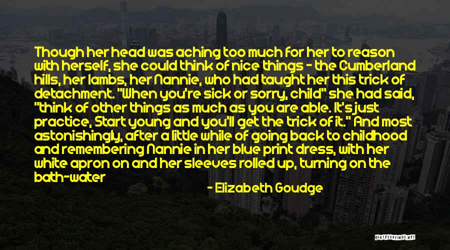 My Head Is Aching Quotes By Elizabeth Goudge