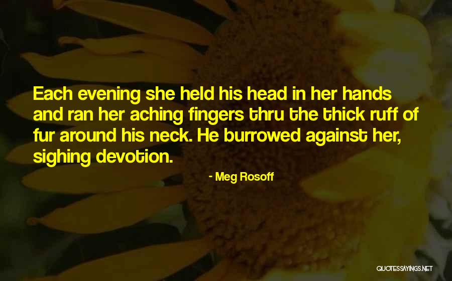 My Head Is Aching Quotes By Meg Rosoff