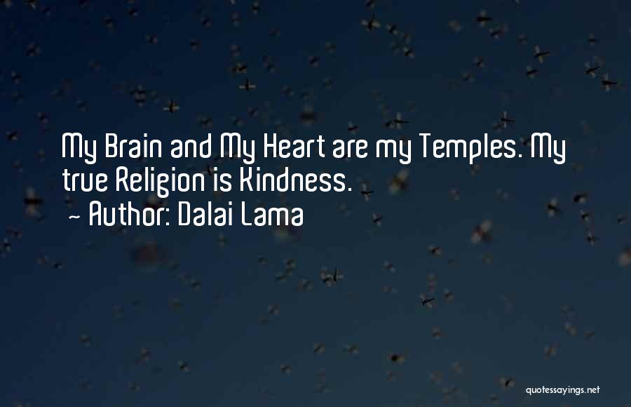 My Heart And My Brain Quotes By Dalai Lama