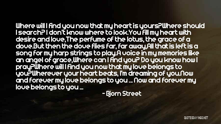 My Heart Belongs You Quotes By Bjorn Street