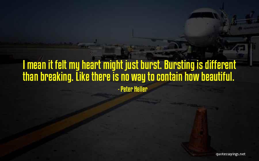 My Heart Breaking Quotes By Peter Heller
