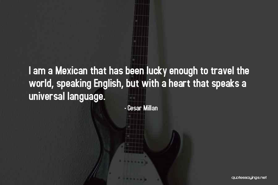 My Heart Has Had Enough Quotes By Cesar Millan My Heart Has Had Enough Quotes By Cesar Millan