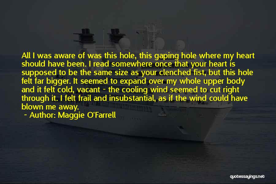 My Heart Is Cold Quotes By Maggie O'Farrell