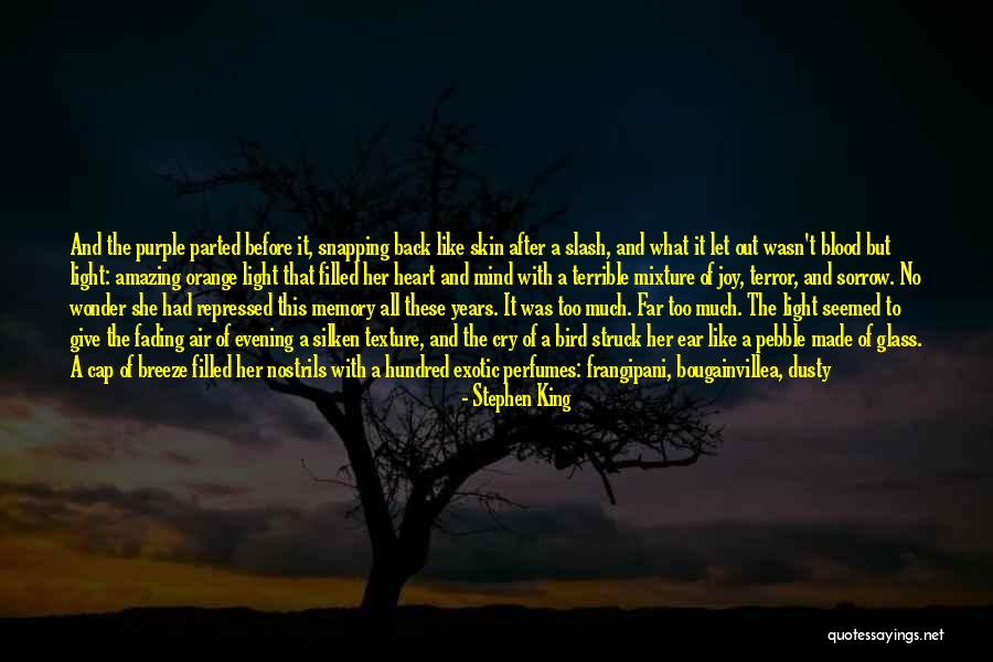 My Heart Is Filled With Joy Quotes By Stephen King