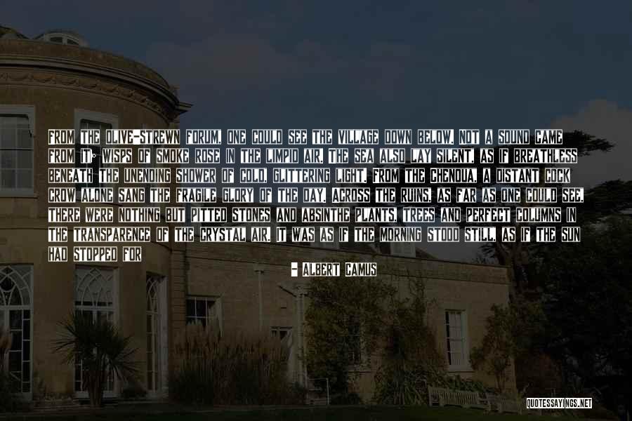 My Heart Is Fragile Quotes By Albert Camus My Heart Is Fragile Quotes By Albert Camus