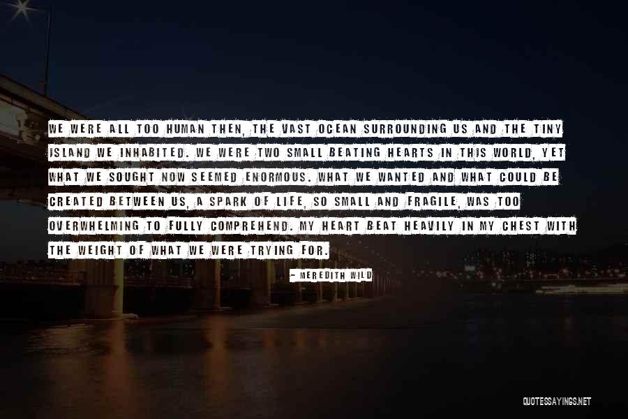 My Heart Is Fragile Quotes By Meredith Wild My Heart Is Fragile Quotes By Meredith Wild