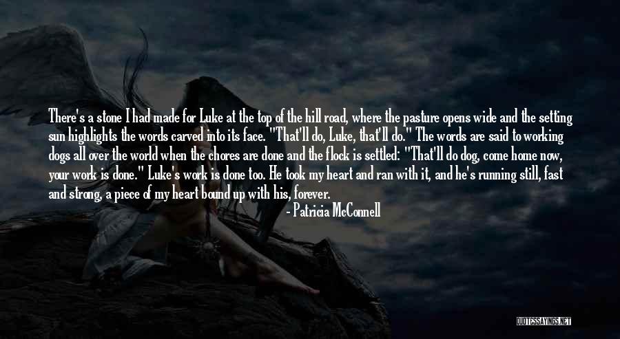 My Heart's Not Made Of Stone Quotes By Patricia McConnell My Heart's Not Made Of Stone Quotes By Patricia McConnell