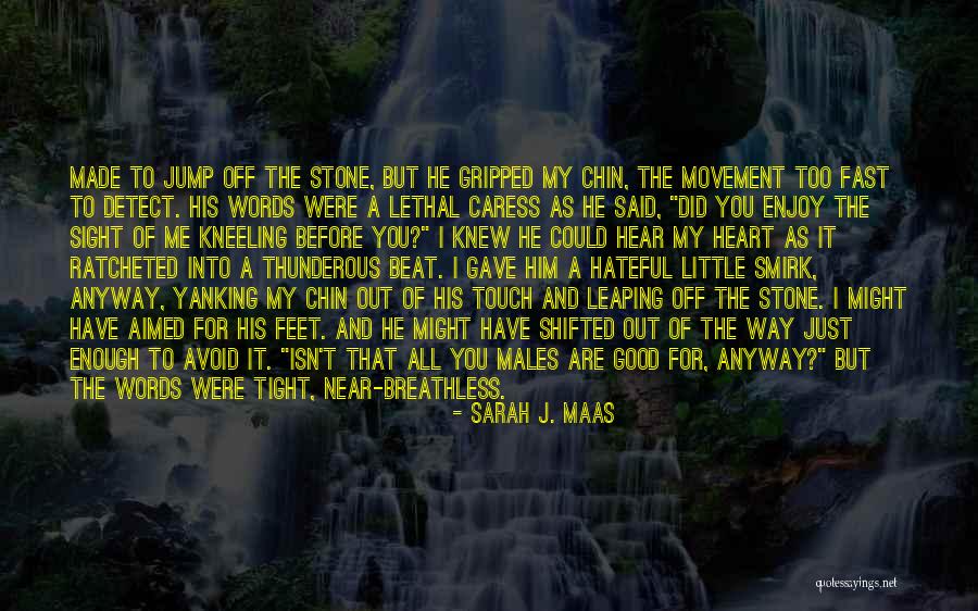 My Heart's Not Made Of Stone Quotes By Sarah J. Maas My Heart's Not Made Of Stone Quotes By Sarah J. Maas