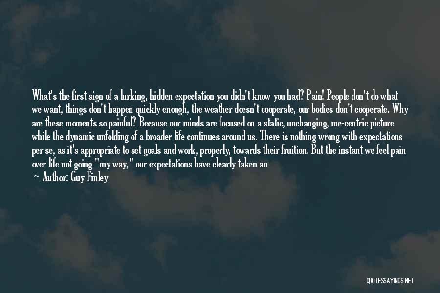 My Hidden Pain Quotes By Guy Finley