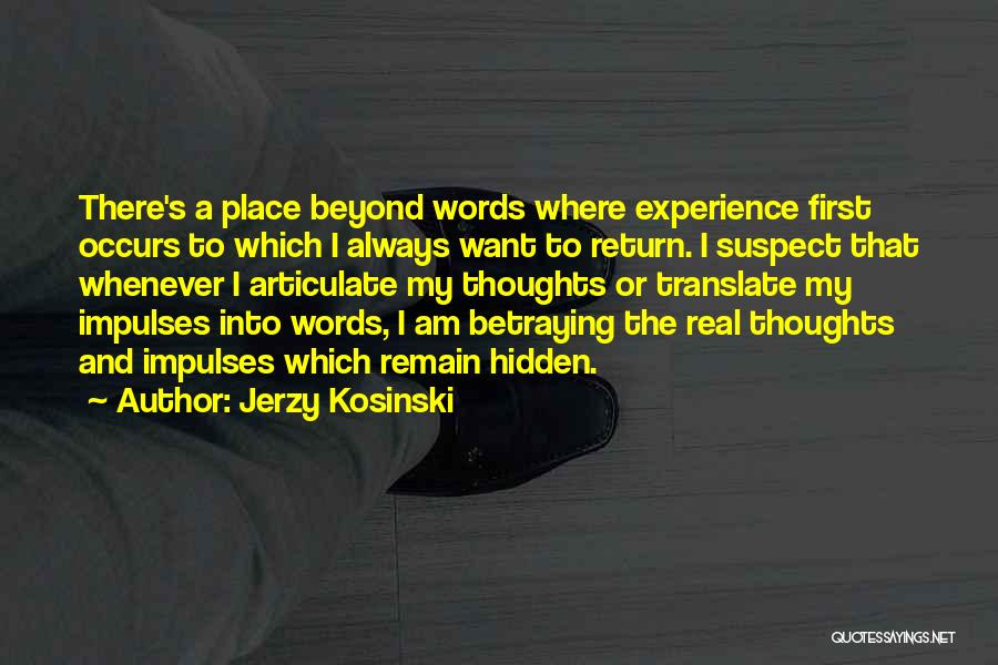 My Hidden Pain Quotes By Jerzy Kosinski