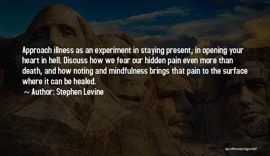 My Hidden Pain Quotes By Stephen Levine