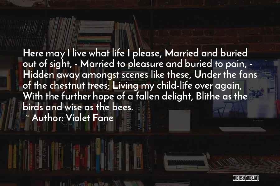 My Hidden Pain Quotes By Violet Fane