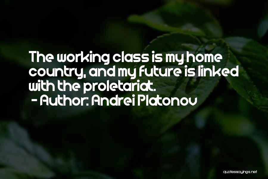 My Home Country Quotes By Andrei Platonov