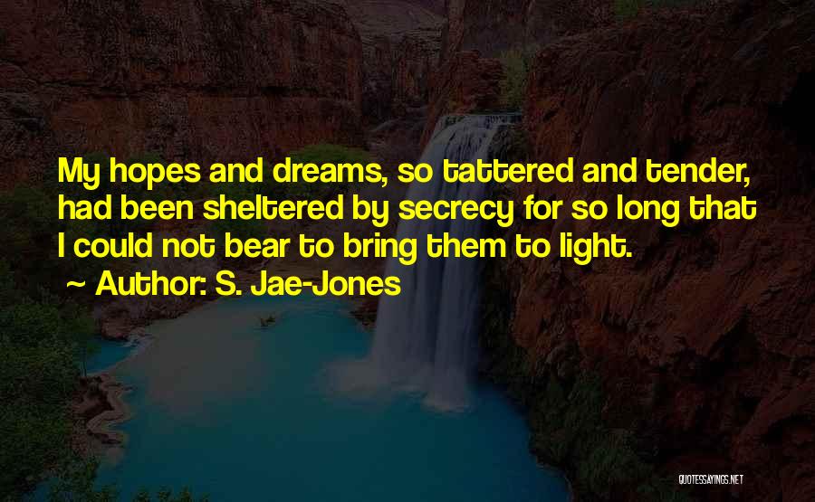 My Hopes And Dreams Quotes By S. Jae-Jones