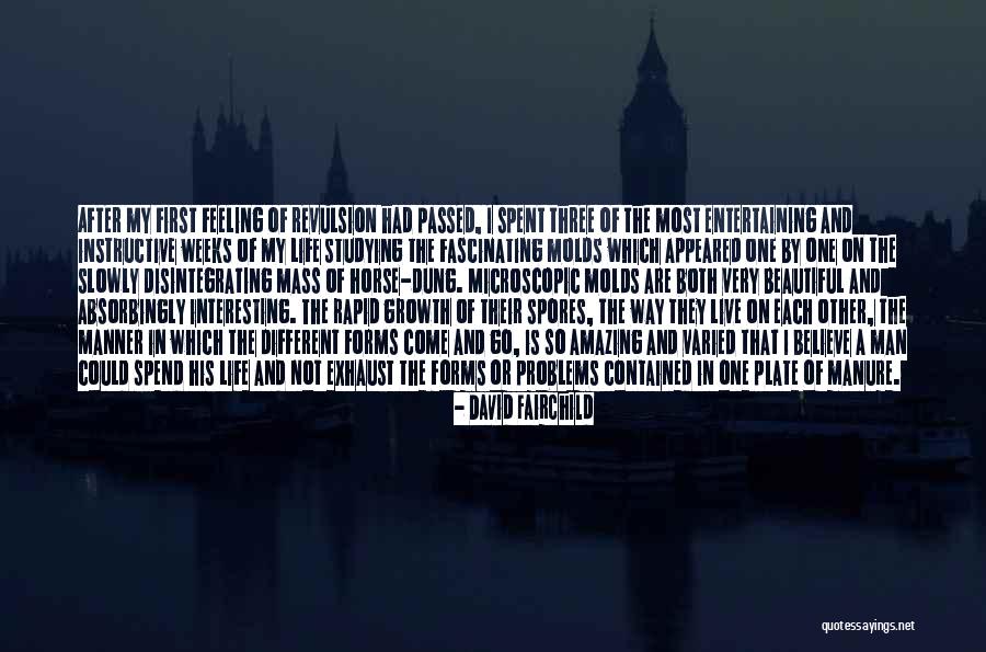 My Horse Is Amazing Quotes By David Fairchild My Horse Is Amazing Quotes By David Fairchild