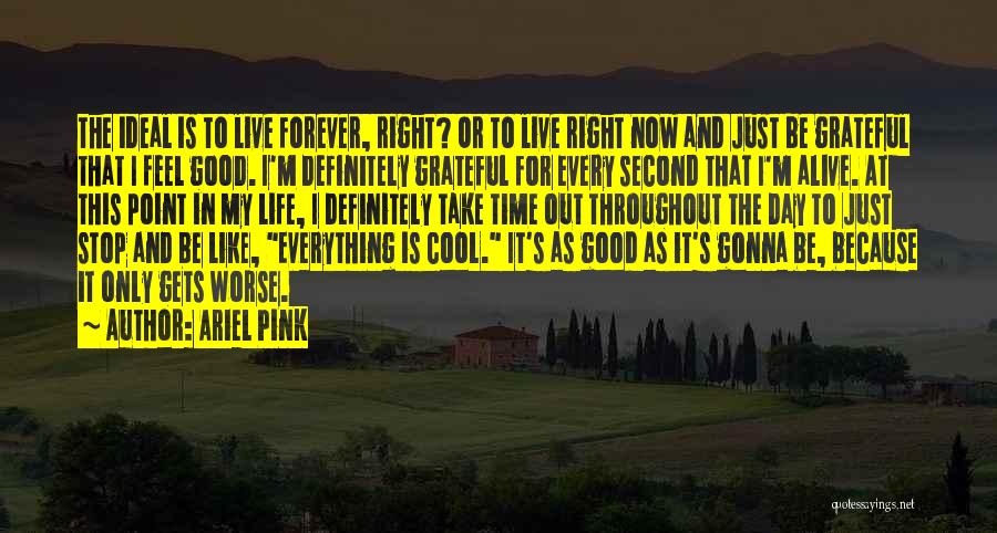 My Ideal Day Quotes By Ariel Pink