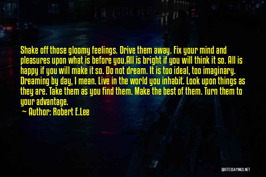 My Ideal Day Quotes By Robert E.Lee