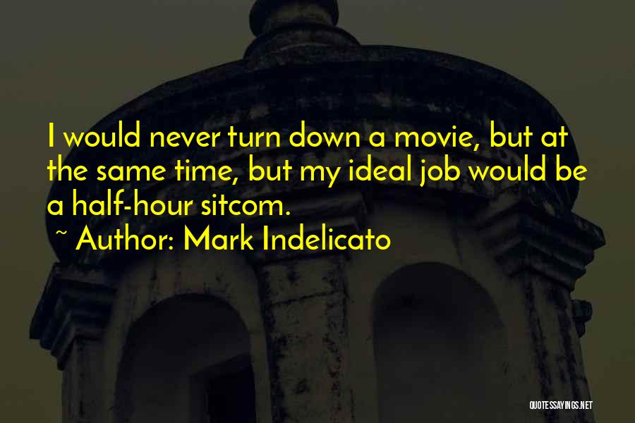 My Ideal Job Quotes By Mark Indelicato