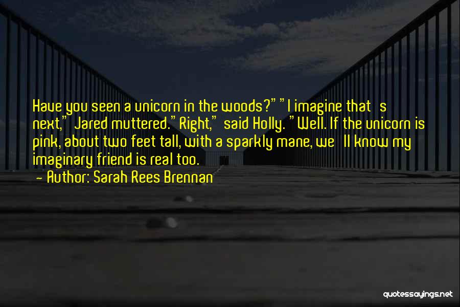 My Imaginary Friend Quotes By Sarah Rees Brennan