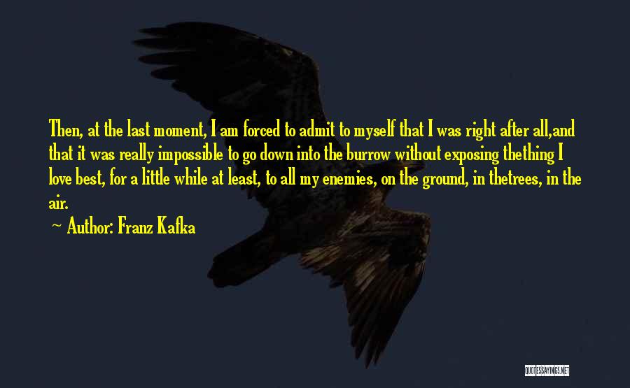 My Impossible Love Quotes By Franz Kafka