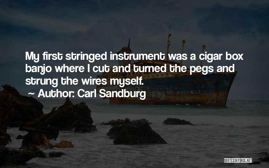 My Instrument Quotes By Carl Sandburg