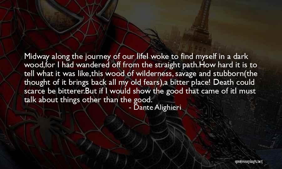 My Journey Back To Life Quotes By Dante Alighieri